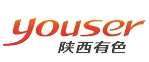 陕西有色金属控股集团有限责任公司